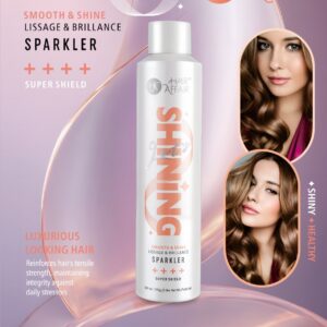 The Shine Sampler - Hair Spray